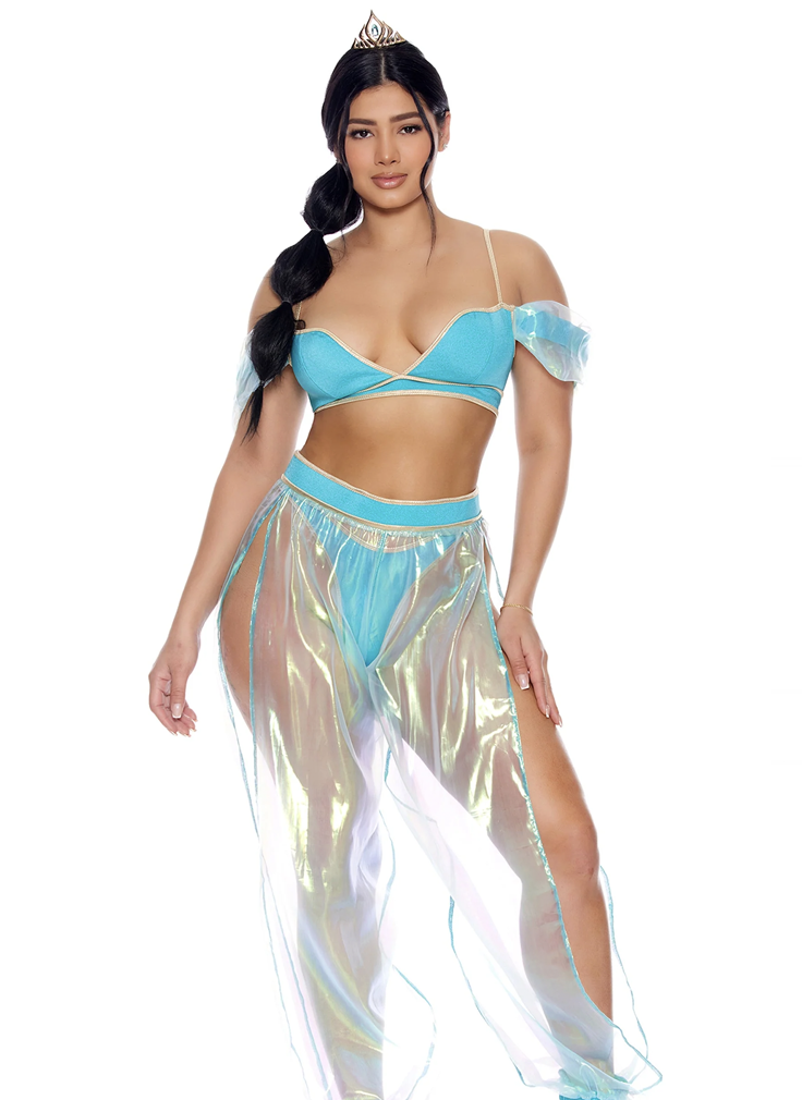 559612 A Whole New World Princess Costume