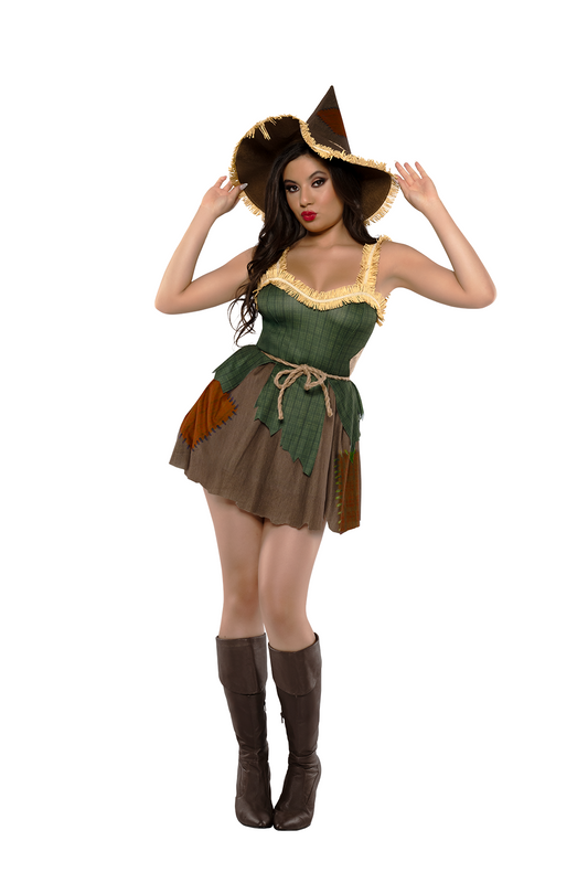 14193 Sweet Scarecrow